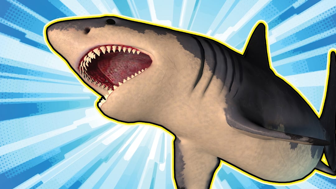 Don’t mess with the meg. Don’t mess with the meg.