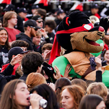 Cincinnati Bearcats fans celebrate with the Bearcat in the third quarter of a college football game between the Cincinnati Bearcats and West Virginia Mountaineers, Saturday, Nov. 9, 2024, at Nippert Stadium in Cincinnati. Mountaineers won 31-24.