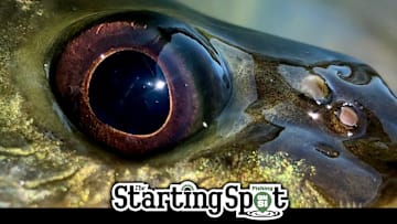 Up close and personal with largemouth bass. Today we’re covering Keith Combs’ recommendations for Summer Bass Baits, the new Skeeter Boats ZXE model line, and a new worm from Big Bite Baits called the Thresher.