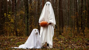 Happy Halloween!