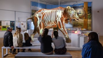 Skeleton projected onto life-sized elephant model at ’The Secret World of Elephants’ exhibit.